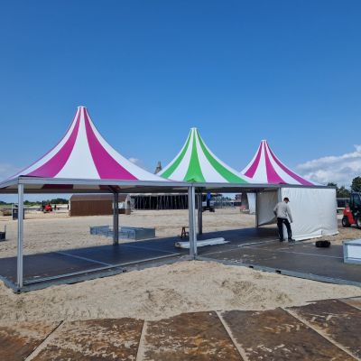 Gekleurde pagode daken